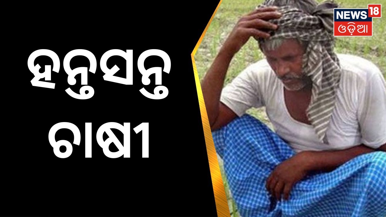 Farmer Distress | ବିନା ଭିତ୍ତିଭୂମିରେ ଧାନ ସଂଗ୍ରହ, ହନ୍ତସନ୍ତ ଚାଷୀ | Sonepur News | Odia News