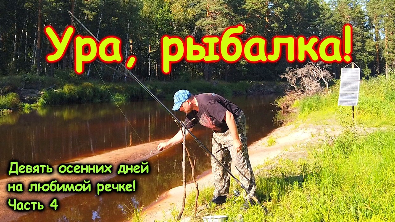 Девять осенних дней на любимой речке! Часть 4 - Рыбалка, Цапли, Про родник
