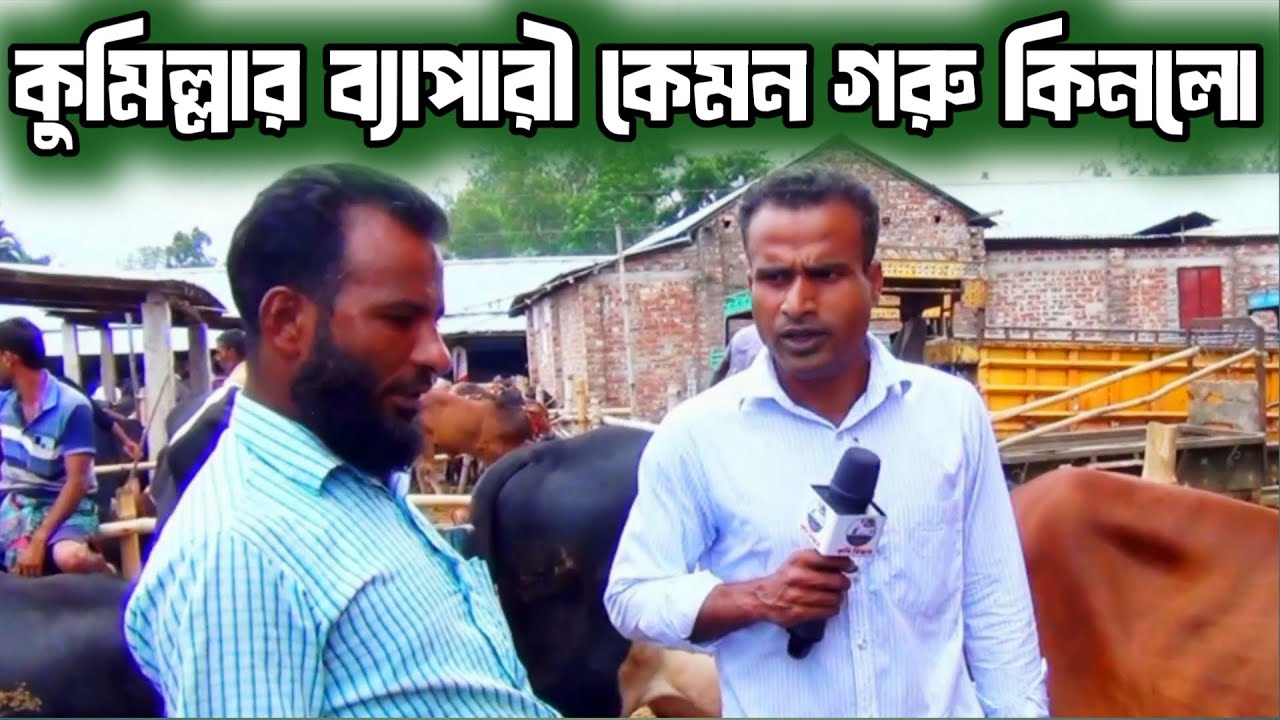 রংপুর জেলার  মিঠাপুকুর উপজেলার শঠিবাড়ি হাটে, কেমন দামে গরু বেচাকেনা হচ্ছে দেখুন 