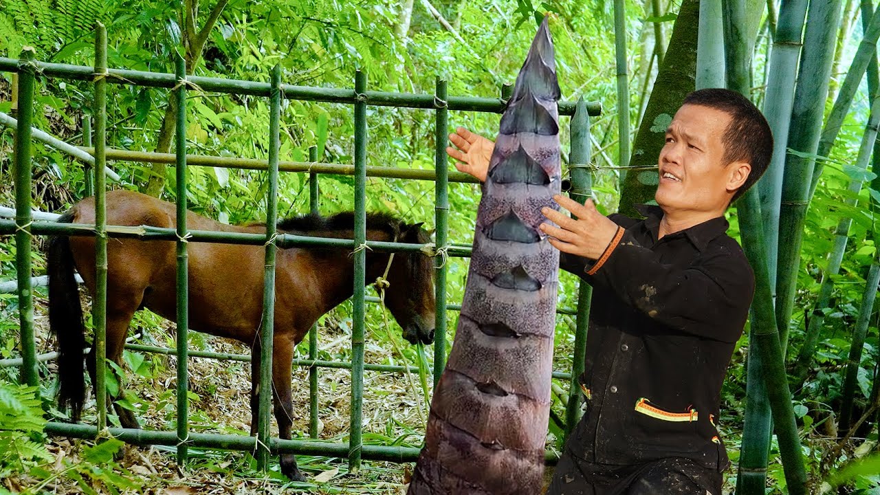 FULL VIDEO: Dwarf Family Traps Horses, Harvests Bamboo Shoots and Peanuts | Primitive Life