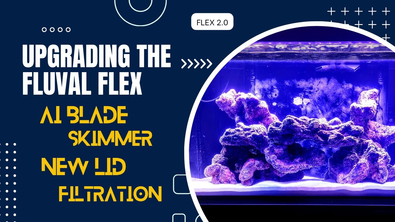 Upgrading The Fluval FLEX - AI Blade/P Skimmer/Filtration/Lid - 2023 - 4K #Fluvalflex32.5g
