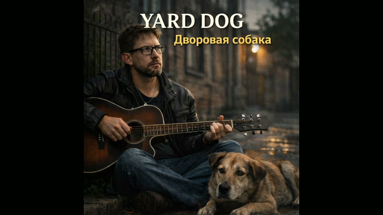 Дворовая собака 