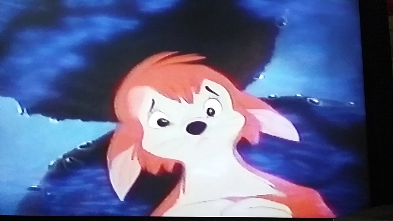 Banjo El Gato Travieso Español Latino