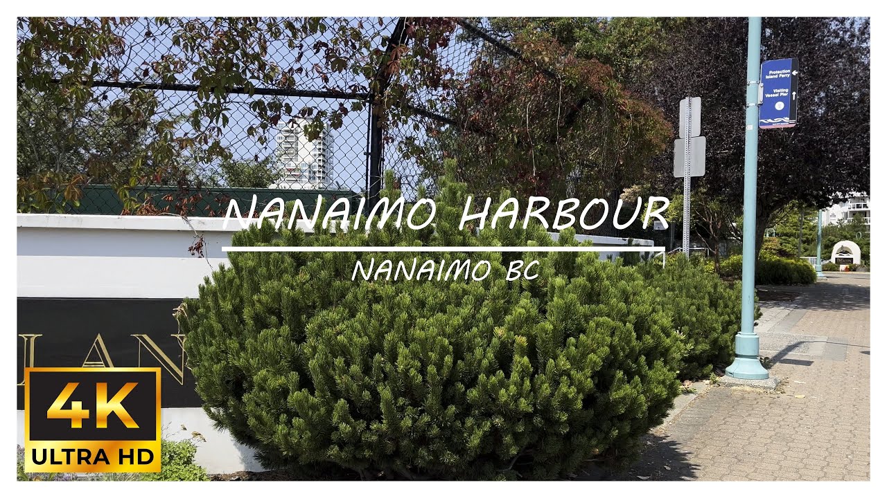 Nanaimo Harbour Nanaimo BC  - Virtual Walk - Walking Tour 4k