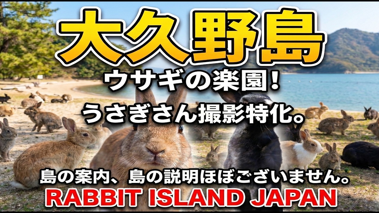 大久野島　うさぎの楽園