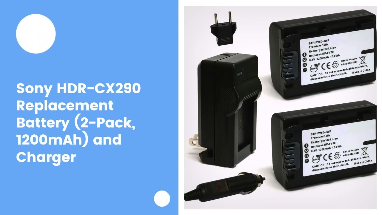 Sony HDR-CX290 Replacement Battery (2-Pack, 1200mAh) and Charger