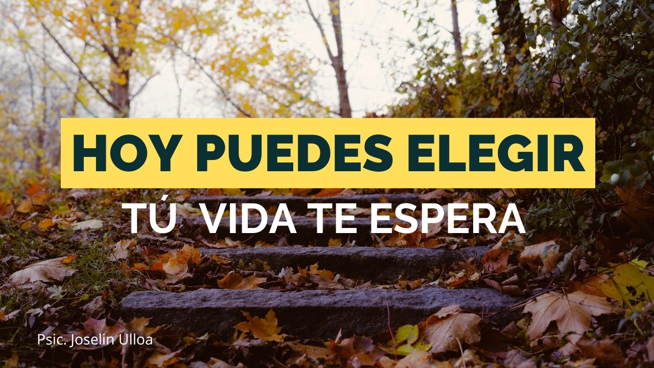 Meditación para Conectar con tu Propósito 🌱 | La Vida te Da Otra Oportunidad