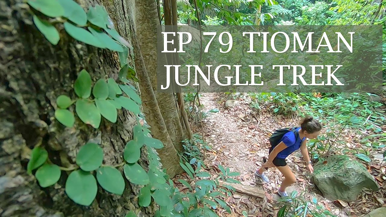 EP79 Hiking on TIOMAN ISLAND, MALAYSIA (Sailing Blue Moon) #sailing #Sailboat