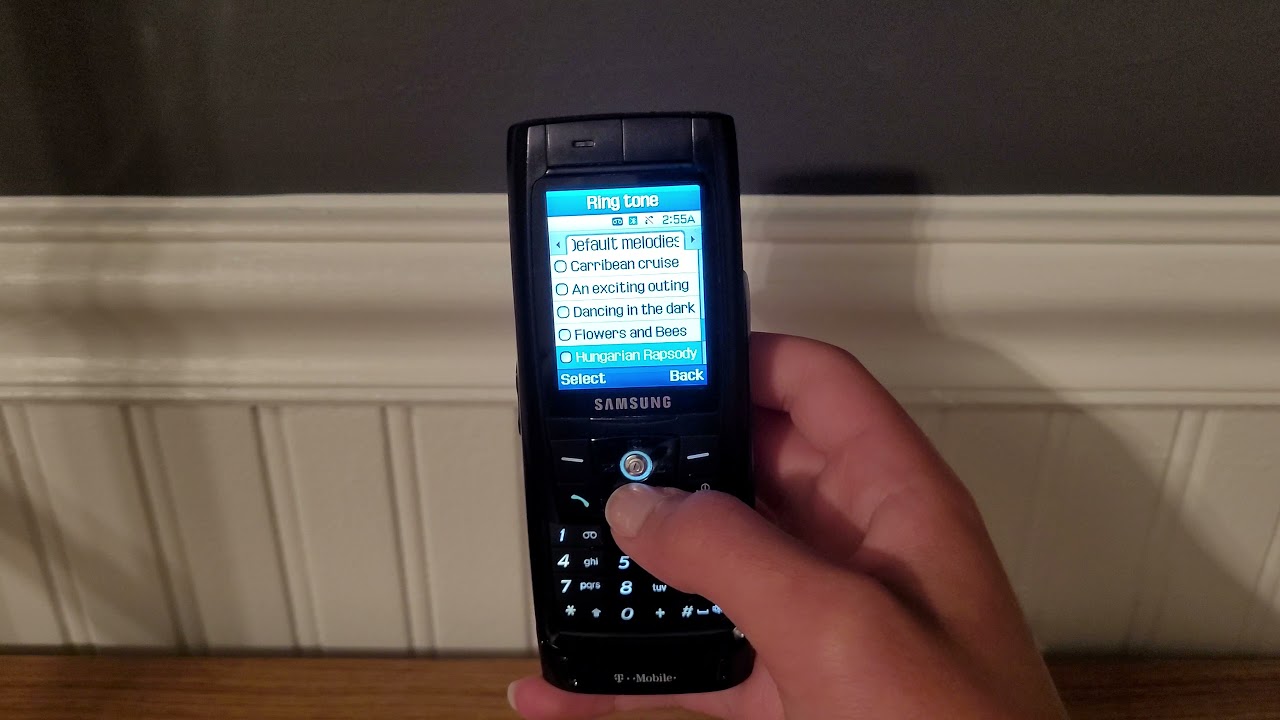 Samsung SGH-T809 Ringtones and Sounds Revised