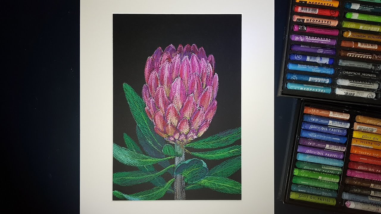 Oil pastel speed painting demo. Protea flower