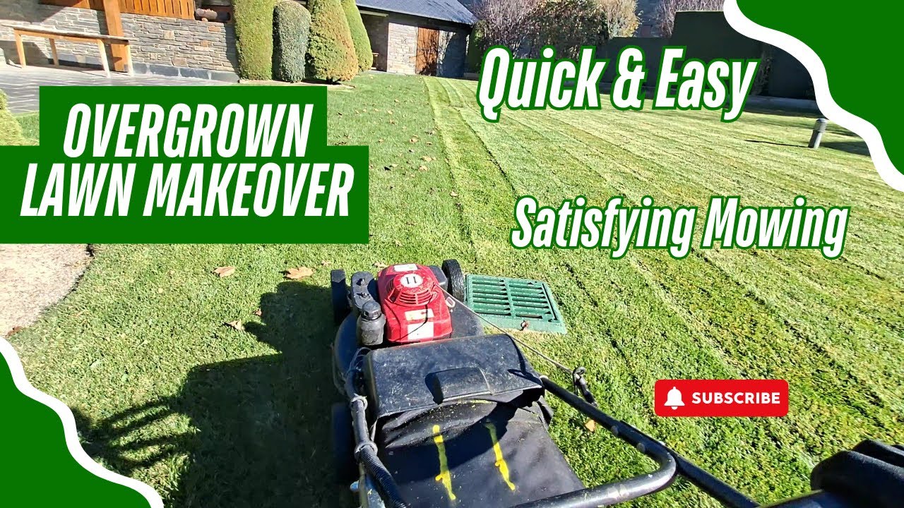Overgrown Lawn Makeover Satisfying Mowing + Stripes