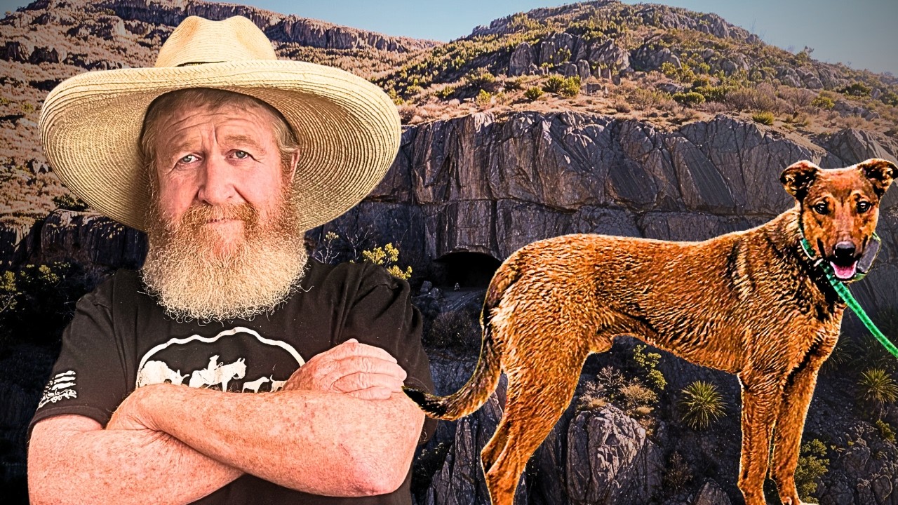 My Dog Disappeared in Bear Country&hellip; I Had to Find Him