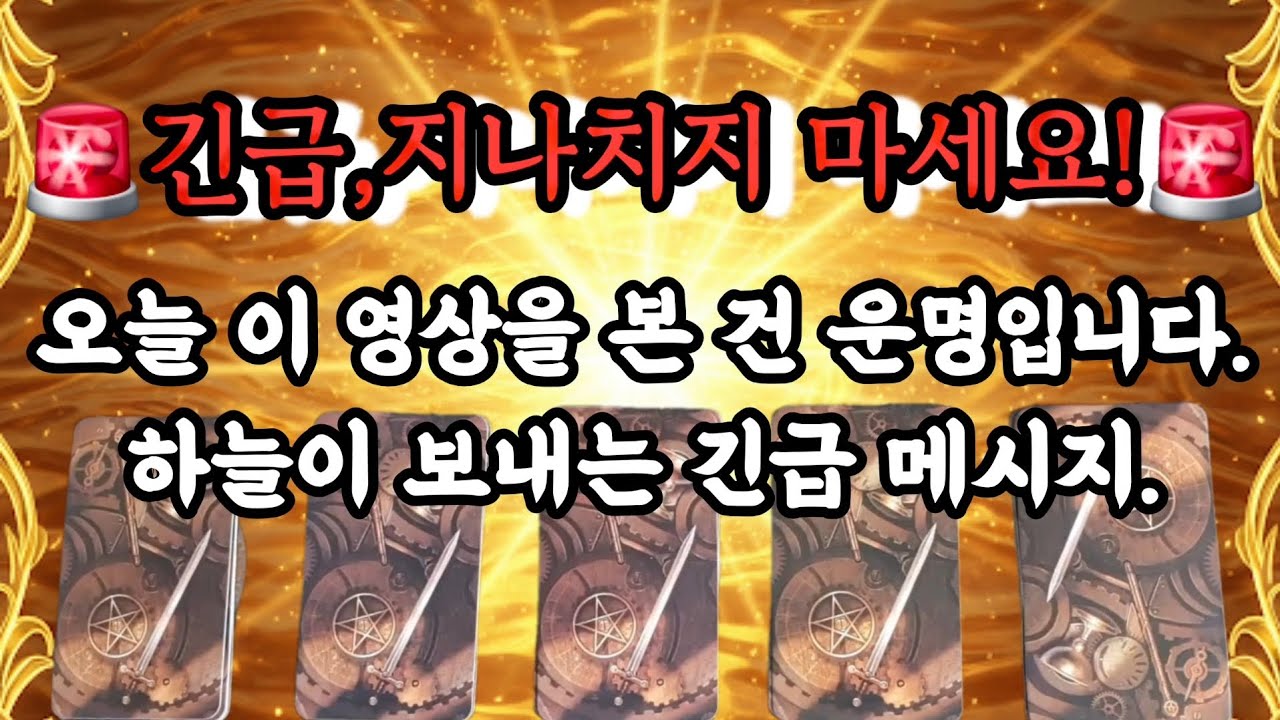 [타로]