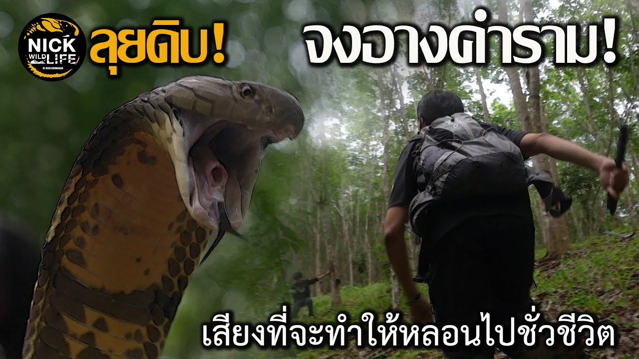 จงอางคำราม!! ลุยดิบ EP.1