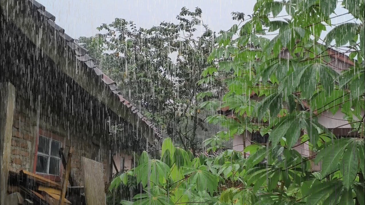 "Heavy Rain on a Leafy Roof - Natural Village Rain Sounds for a Good Night's Sleep"