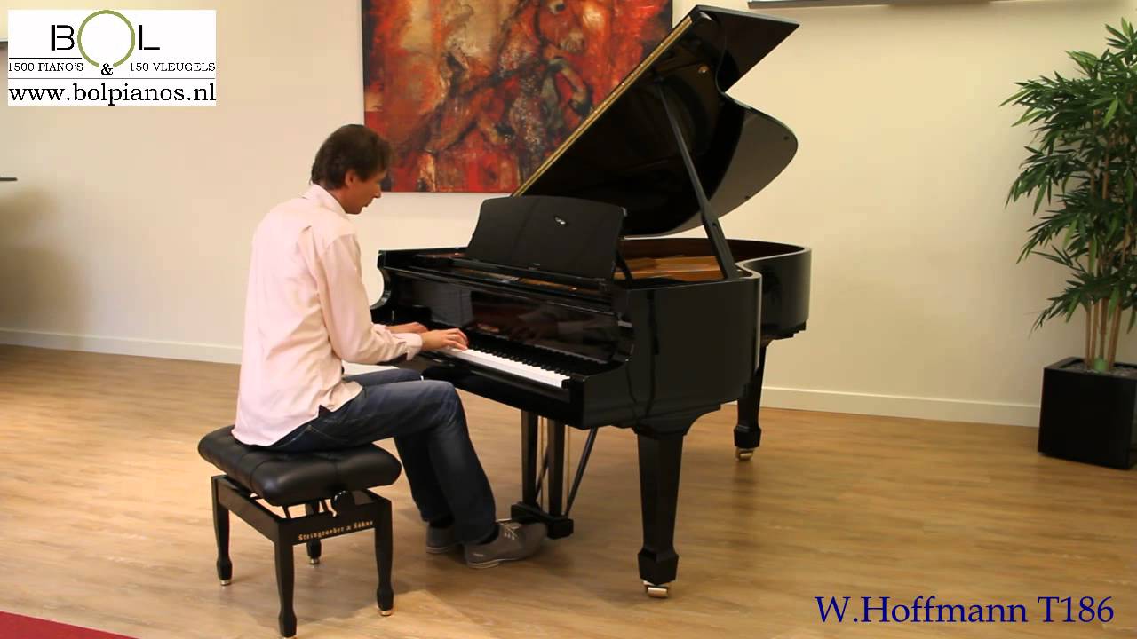 W. Hoffmann T 186 populair