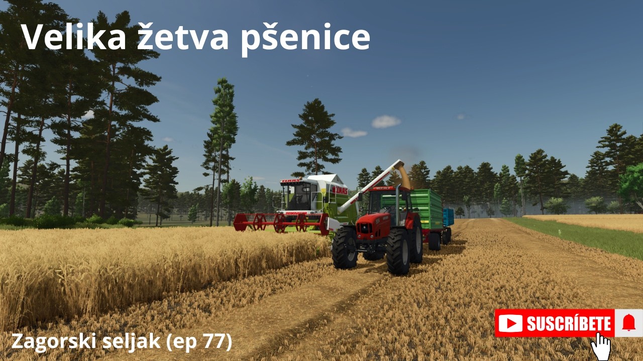 NAJVEĆA ŽETVA PŠENICE DO SADA Zagorski seljak ep 77 Tomkec