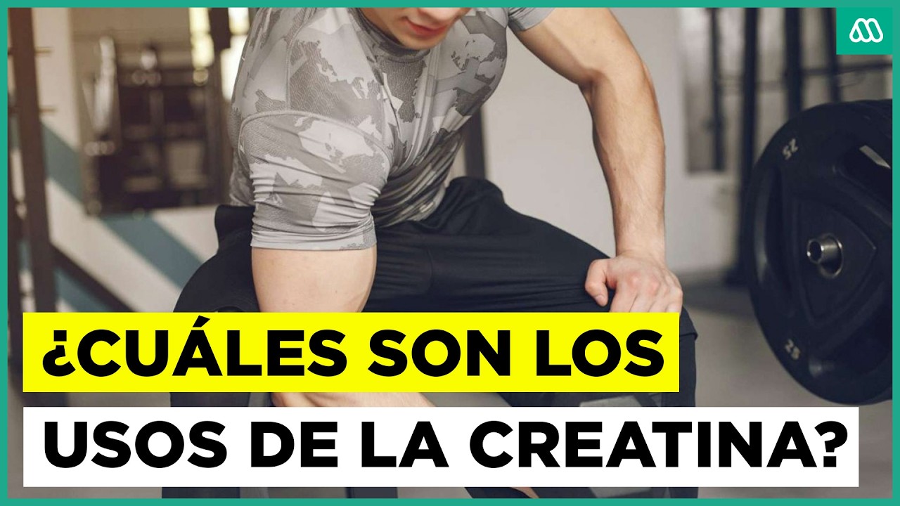 Uso más allá del deporte: ¿Para qué sirve la creatina?