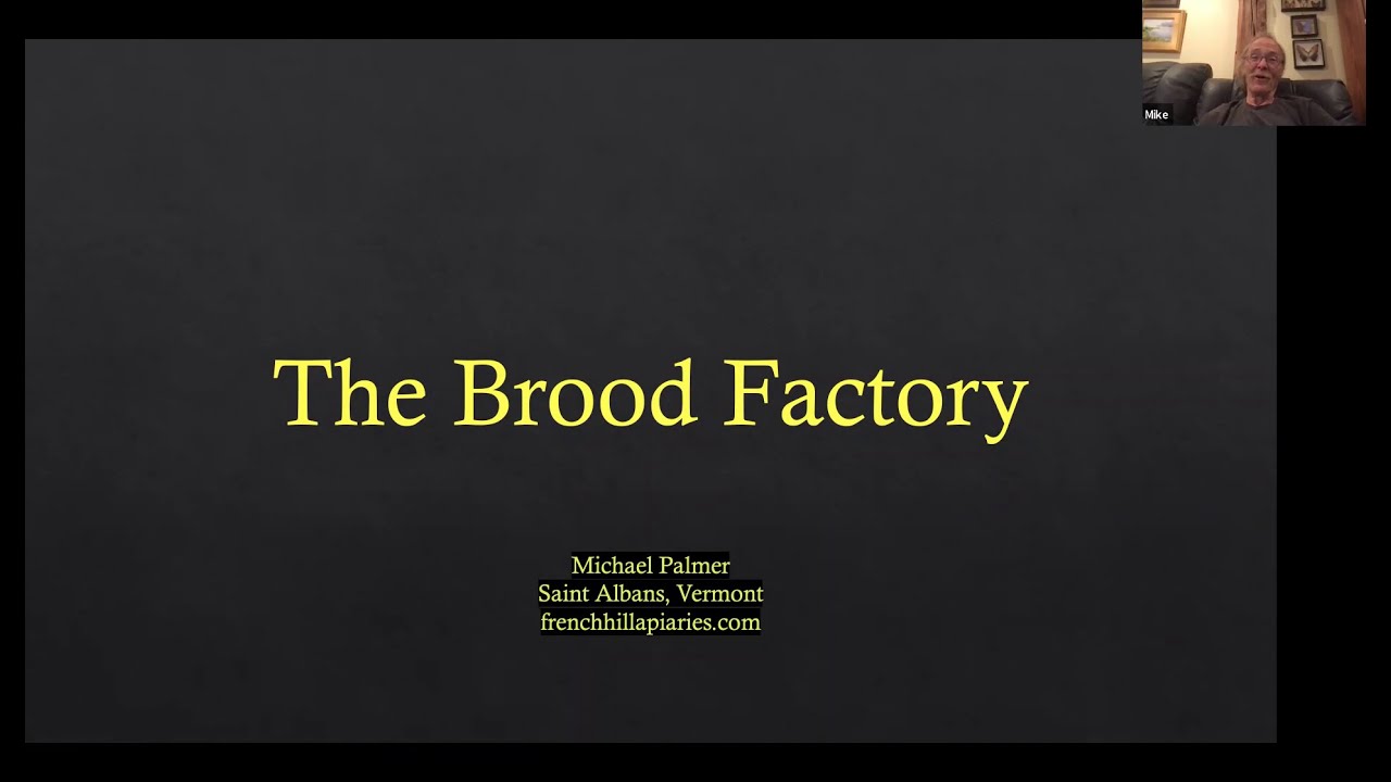 Mike Palmer -  The Brood Factory