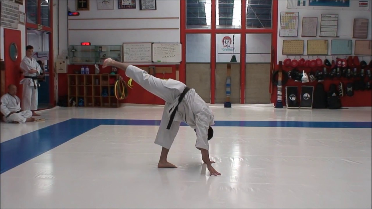 型、三才、玄制流空手道(新空手道教範) - Kata Sansai Gensei Ryu (Shin Karatedo Kyouhan)