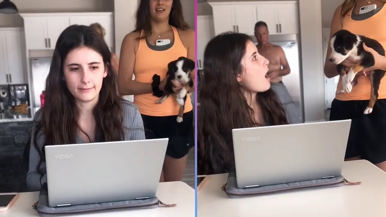 The Most Priceless Moments That Will Melt Your Heart | Emotional Reactions