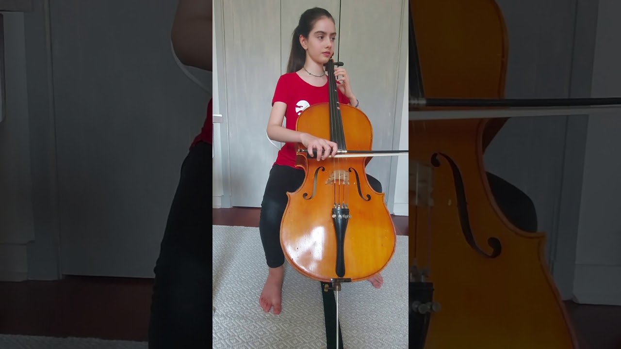 Cello.Sofia De Miguel.Shark attack