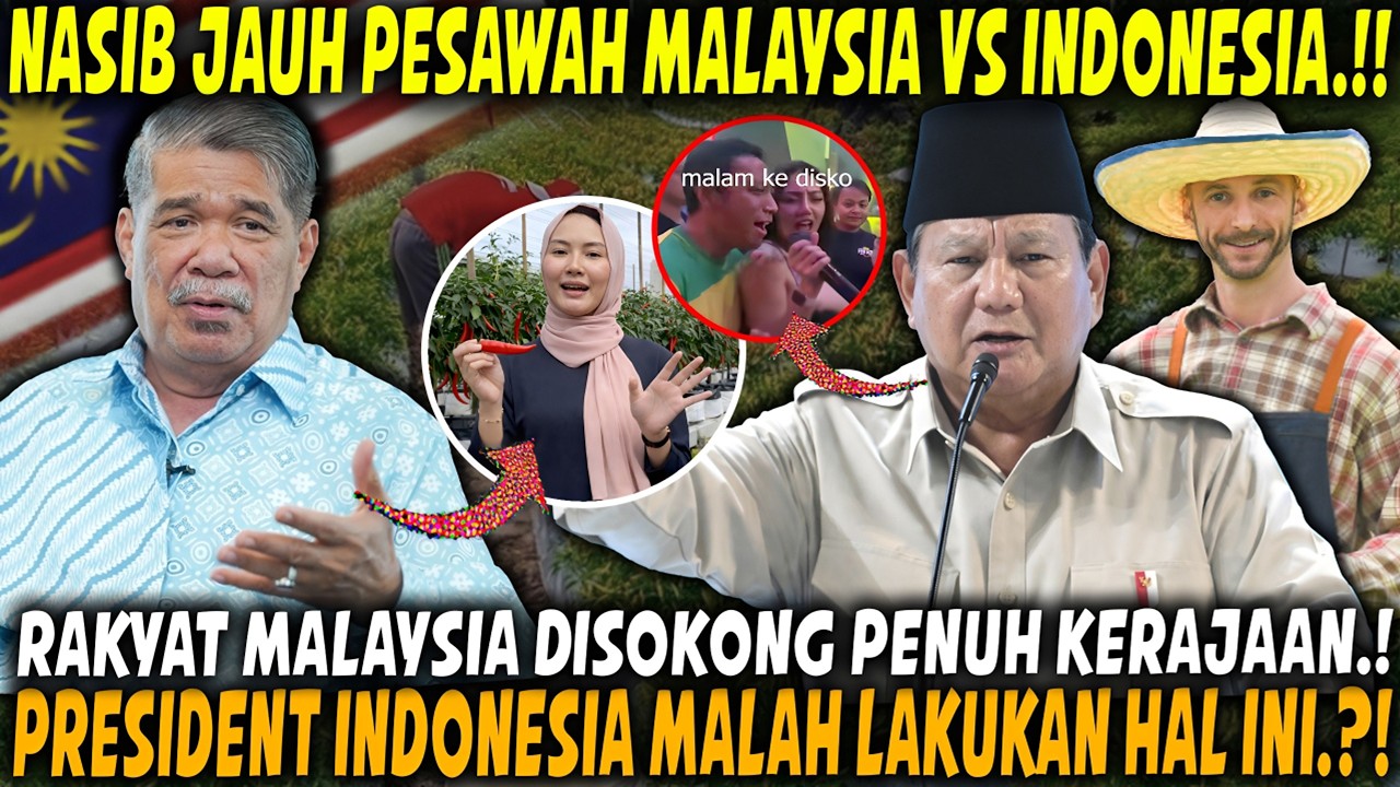 FAKTA PAHIT‼️ Inilah Beza Nasib Pesawah Malaysia vs Indonesia! Pemrintah Indonesia Abaikan Rakyat!