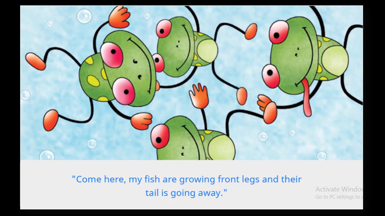 I found a frog is story describing the unique transformation