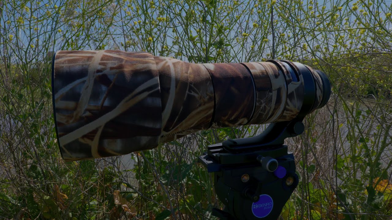Lenscoat Review -Tamron 150-600mm G2 - HDR