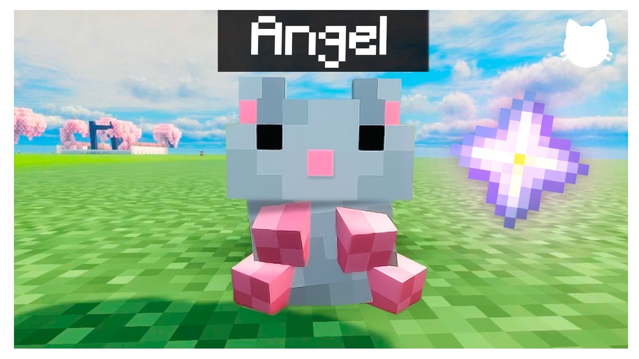 🤩TENGO EL HAMSTER DEFINITIVO!