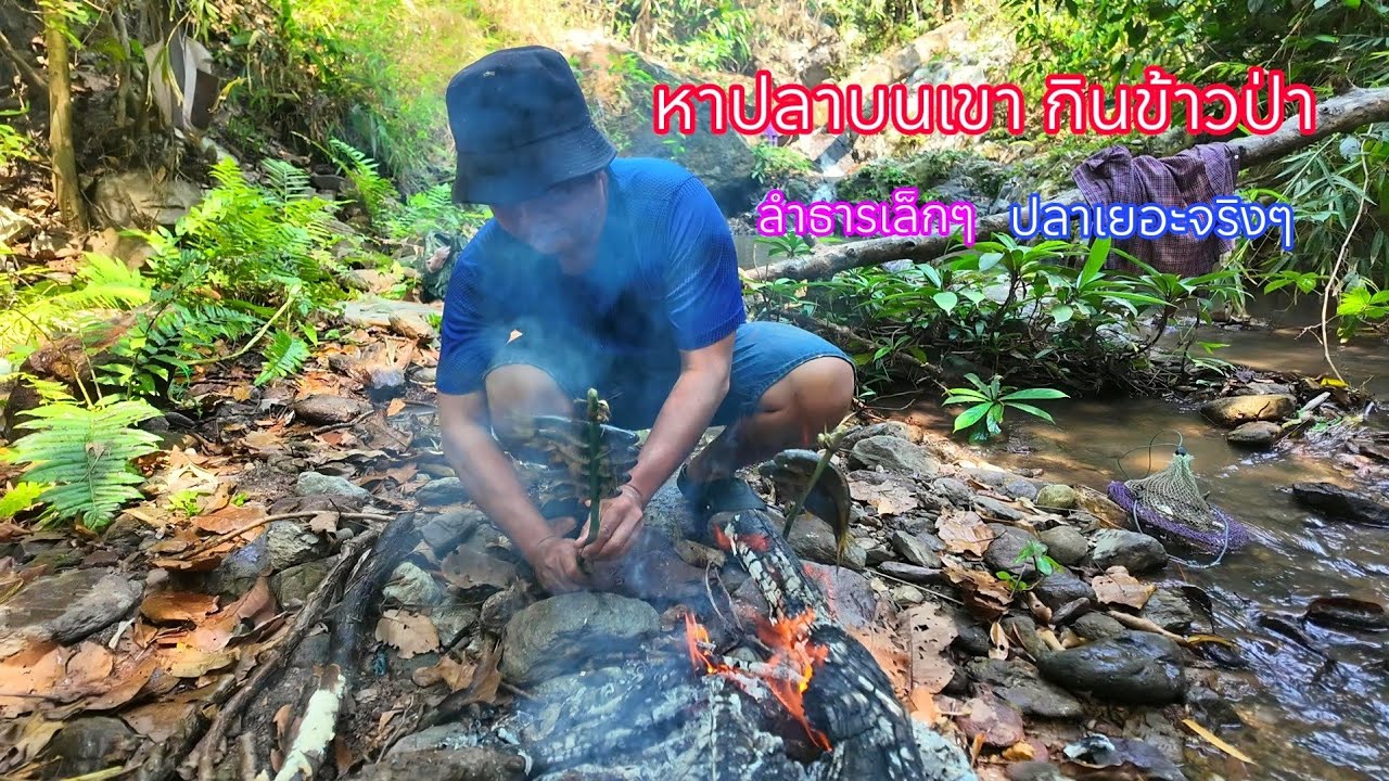 ขึ้นเขาหาปลา หาหอยในลำห้วยเล็กๆได้ปลาเยอะเลยปิ้งปลากินข้าวป่าแซ่บๆ 