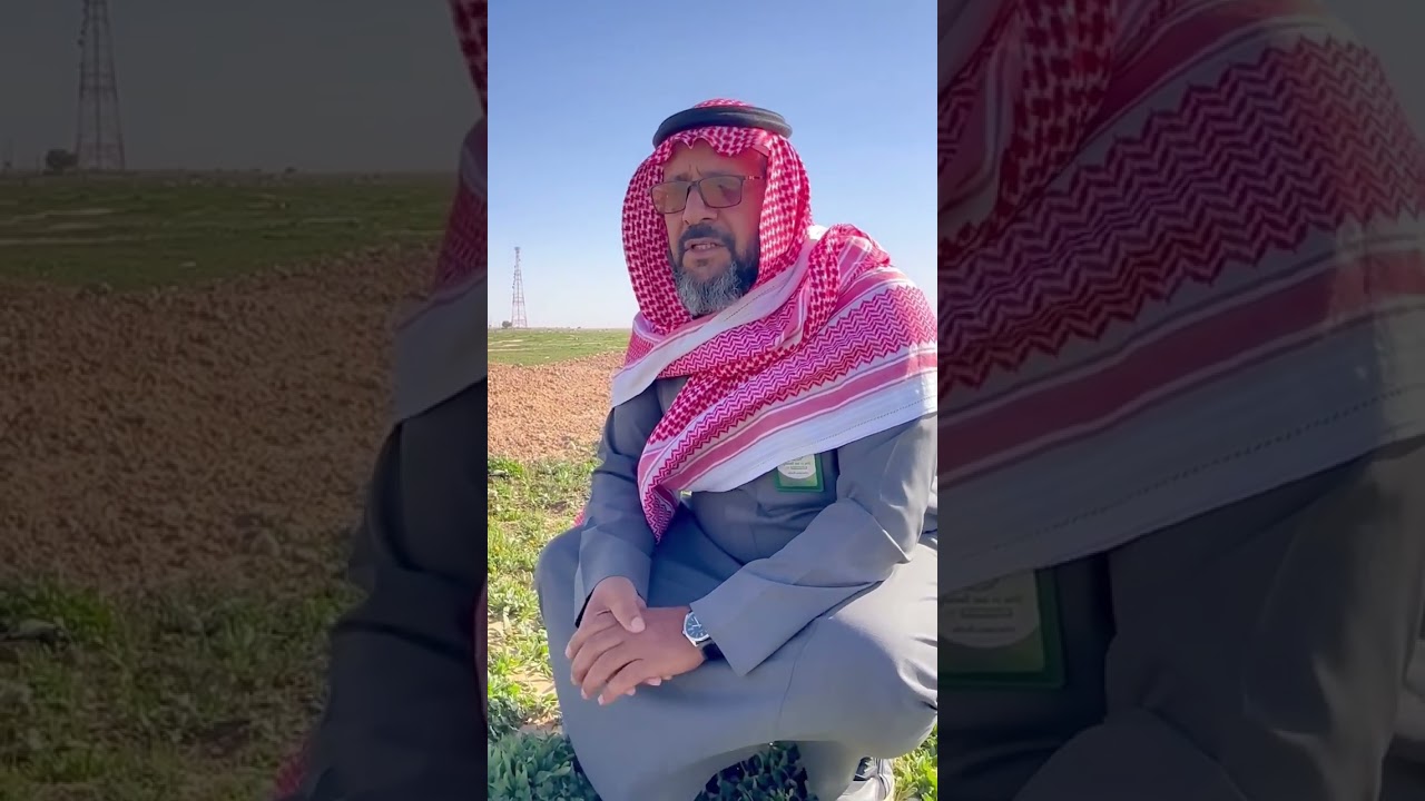 روضة زبدة مبادرة تنظيف وتشجير مكتب الزراعةبالمجمعة بتعاون مع جمعية الدهناء الخضراء محمد سعد العطاوي 