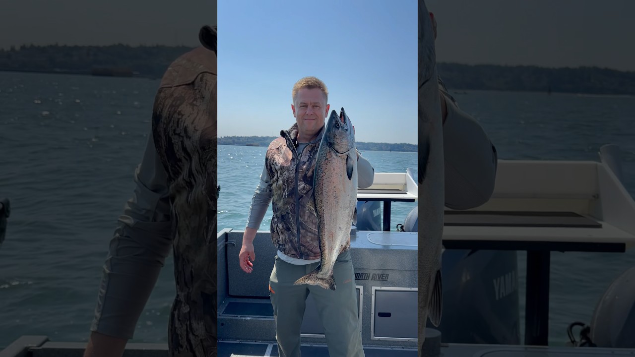 King Salmon                                                   #fishing #kingsalmon #catchoftheday