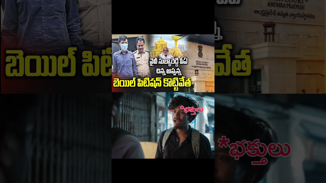 Ghee Adulteration Case: High Court Dismisses YV Subbareddy PA Chinna Appanna Bail Petition