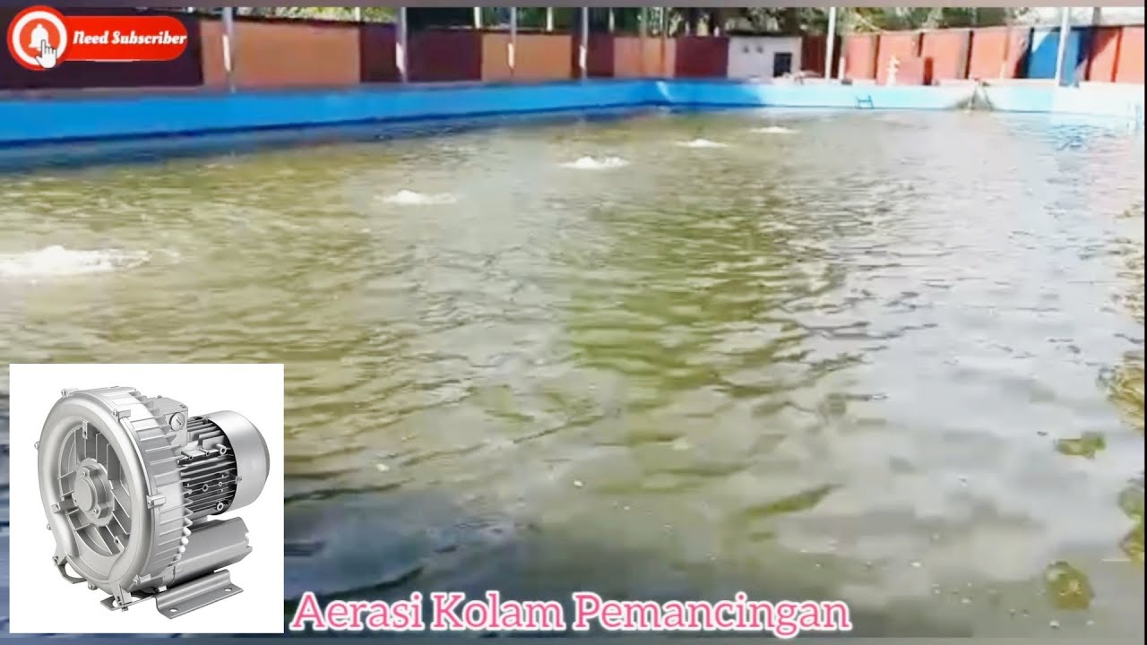 Pemasangan Blower Untuk Kolam Pemancingan Ikan