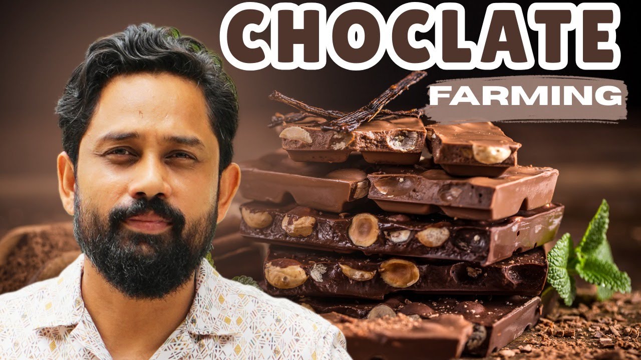 Chocolate की खेती भारत में कैसे करें || एक मॉडल से दोगुनी कमाई || Hello Kisaan