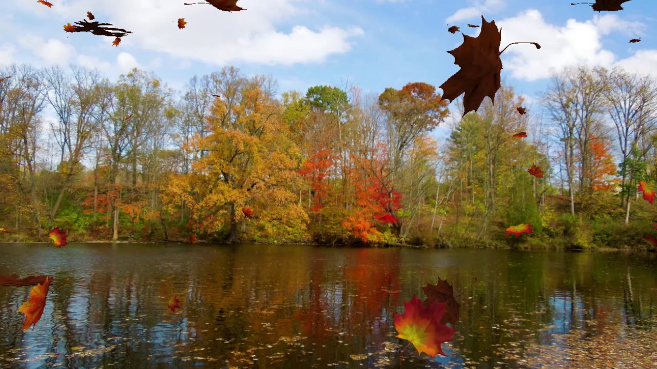 Autumn at Fallasburg Covered Bridge near Lowell Michigan