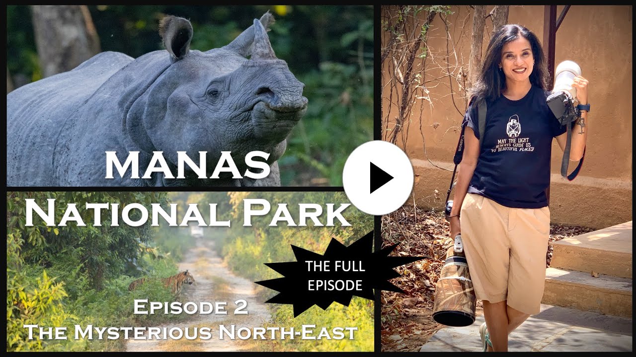 MANAS NATIONAL PARK - The Mysterious North-East