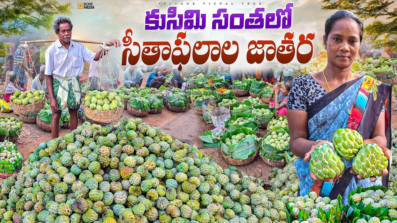 కుసిమి గిరిజన సంత || kusimi tribal market || kusimi santha 