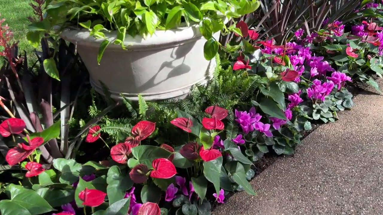 Philadelphia Longwood Gardens Great Winter Day Trip
