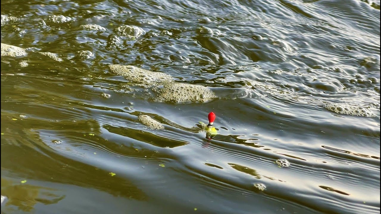 Splávek na Řece: Jednoduchá Plavaná v Proudu