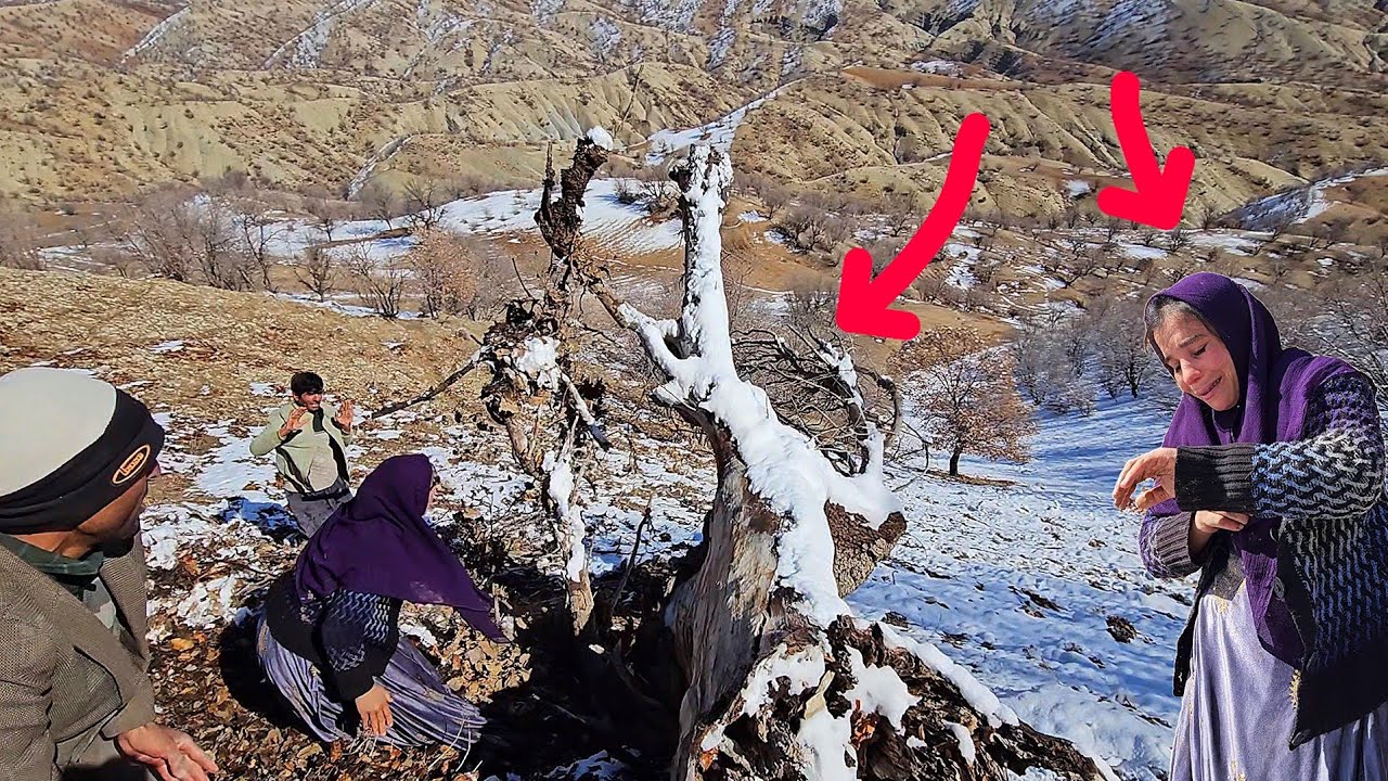💔Life in the mountains: Collecting firewood and an accident for Tooba in the extreme cold ❄️😱