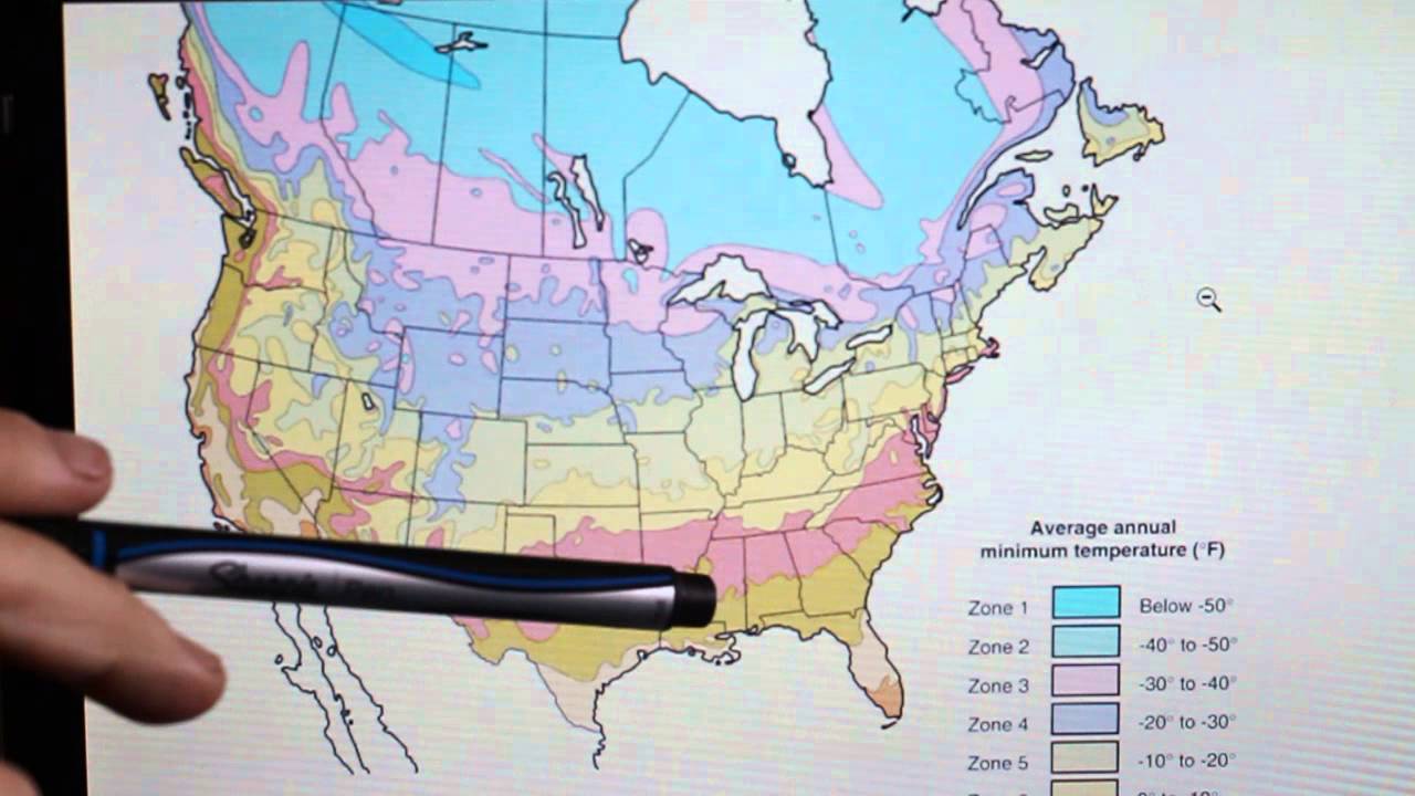 Garden Basics E3: Understanding Cold Hardiness Zones