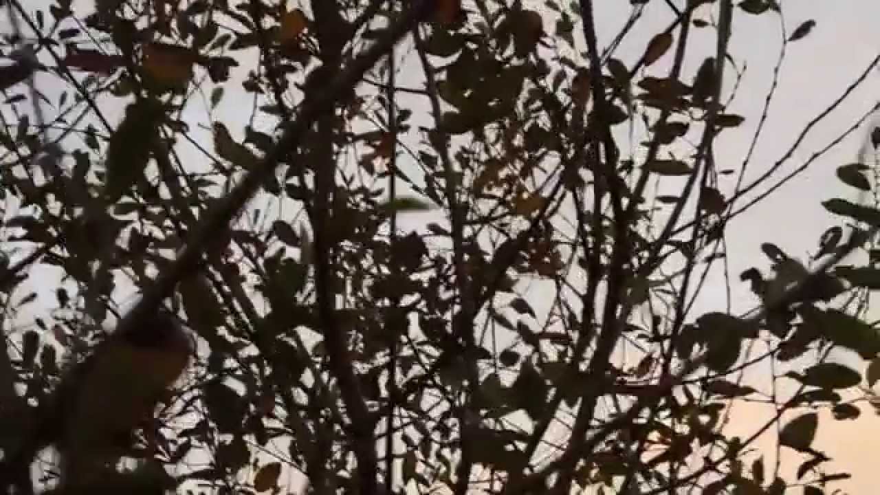 L'Air du Temps - Sang Hoon Degeimbre - Belgium
