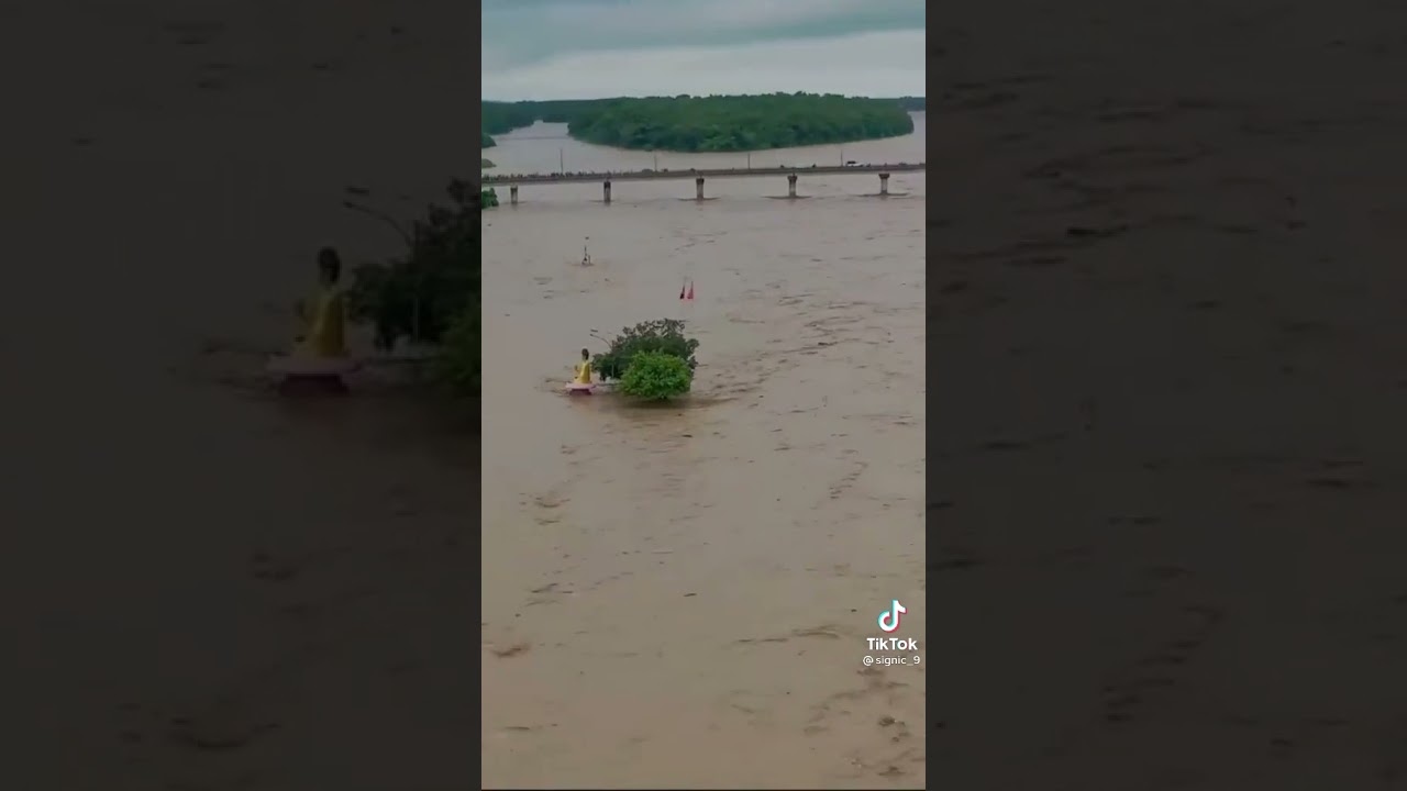 नारायणी नदि नेपाल | Biggesst flood in Narayani river nepal dangerous situation #staysafe