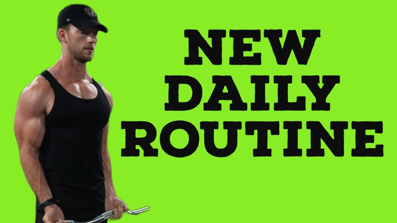 NEW DAILY ROUTINE (WR Training)