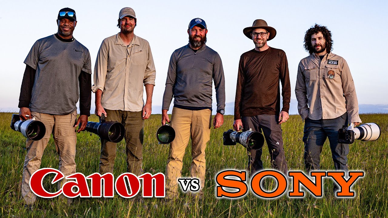 Canon vs Sony on Safari