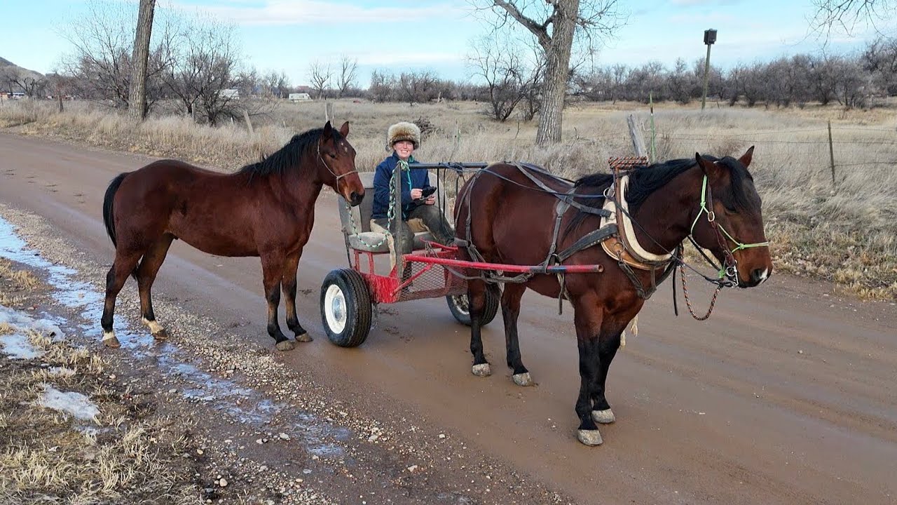 Выехали покататься с Риггсом и Моззи.