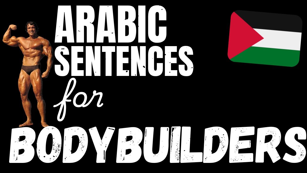200 B1 Arabic sentences - Weightlifting & Building Muscle | Learn Intermediate Arabic vocabulary