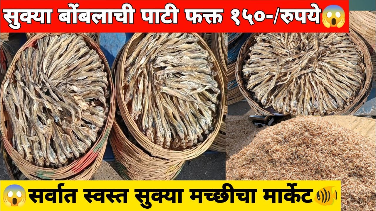 🐠सुक्या बोंबलाची पाटी फक्त १५०-/ रुपये😱 | Dry Fish Market | सर्वात स्वस्त सुख्या मच्छीचा मार्केट🐟🥰